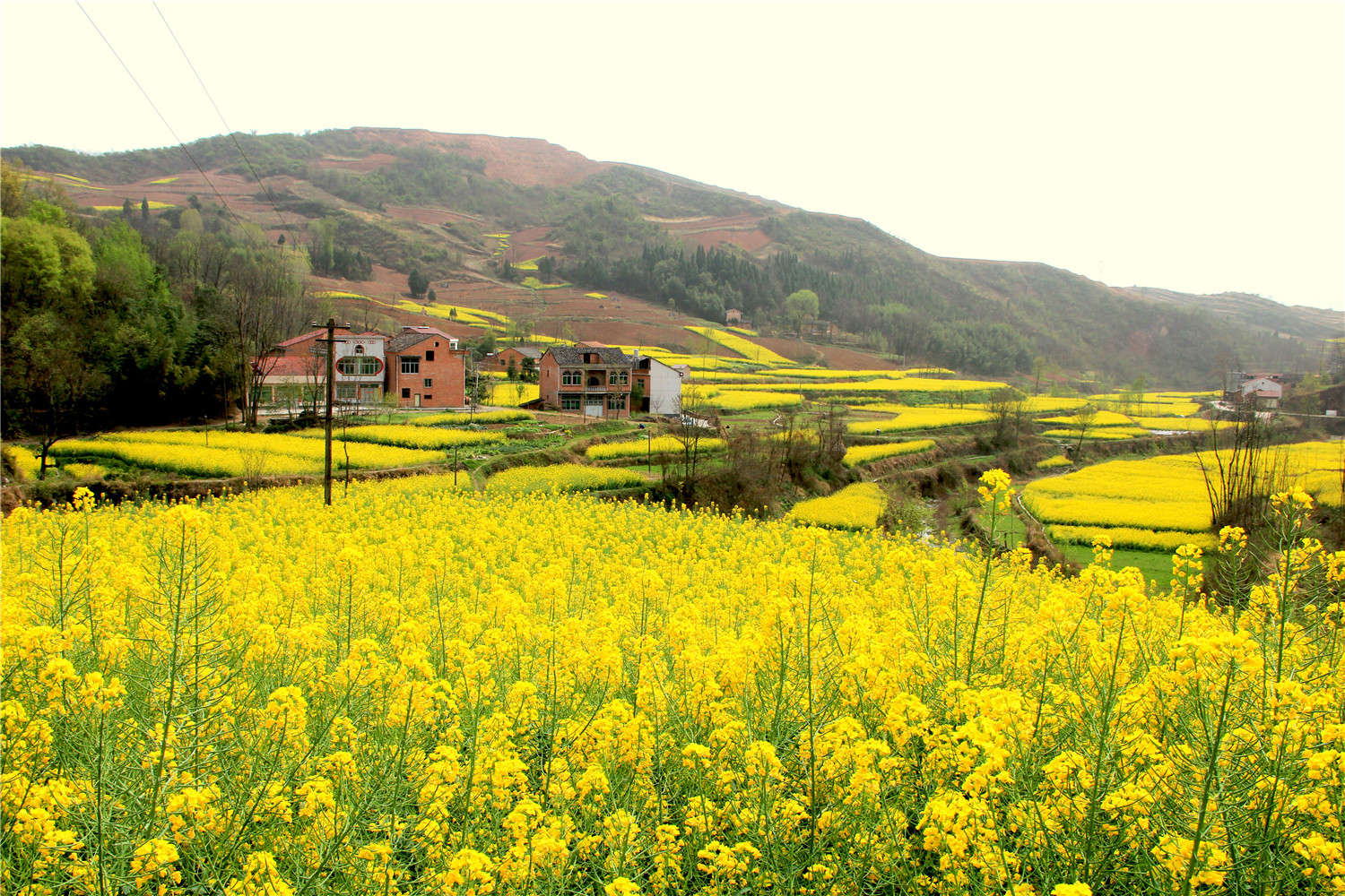 �ֹ��ϴ���ͼƬ����