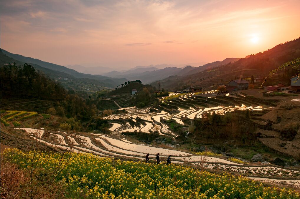 �ֹ��ϴ���ͼƬ����