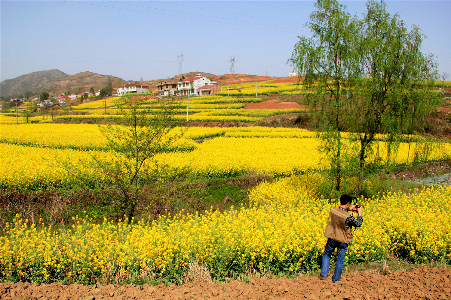 �ֹ��ϴ���ͼƬ����