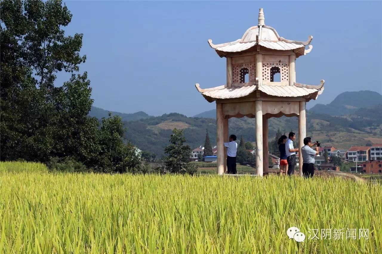 �ֹ��ϴ���ͼƬ����